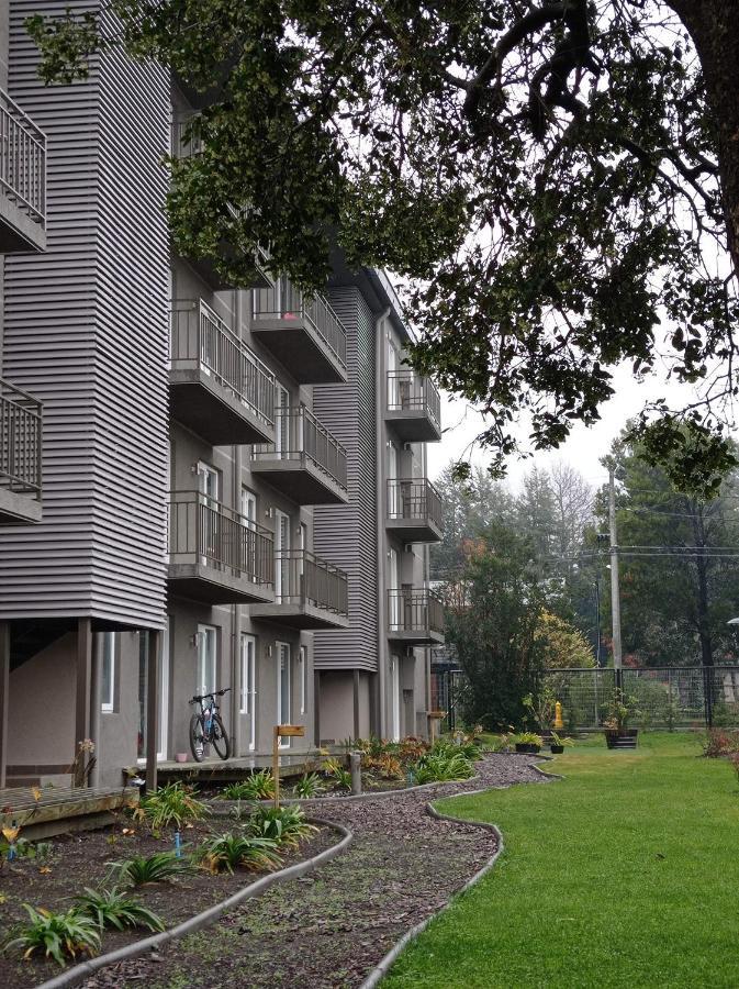 Departamento Equipado A Pasos Del Centro. Apartment Pucon